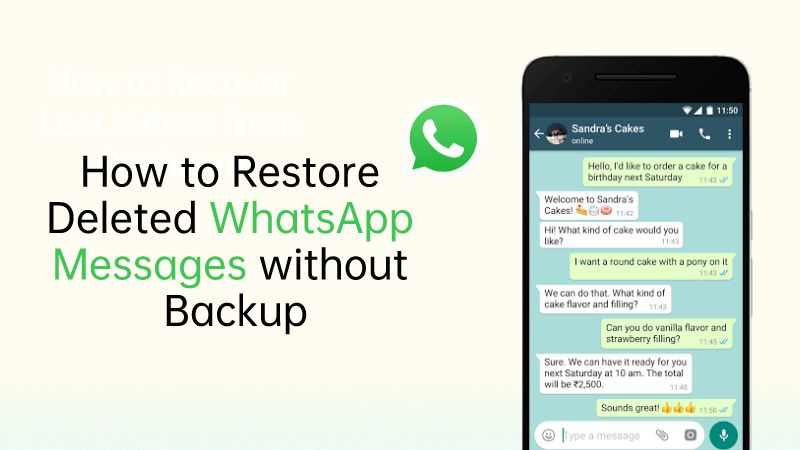如何在没有备份的情况下恢复已删除的WhatsApp消息（2024）
