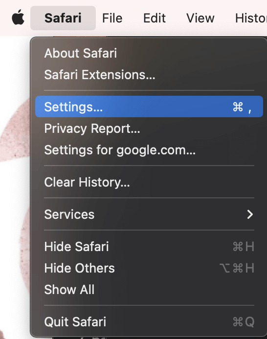 如何在Safari Mac上制作Google您的主页