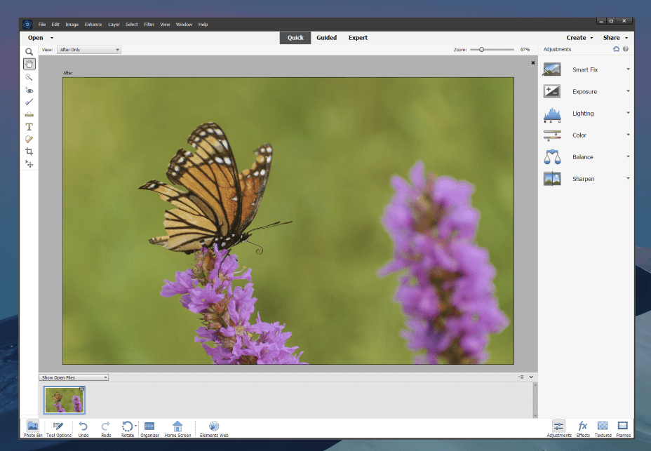 Adobe Photoshop與Photoshop元素