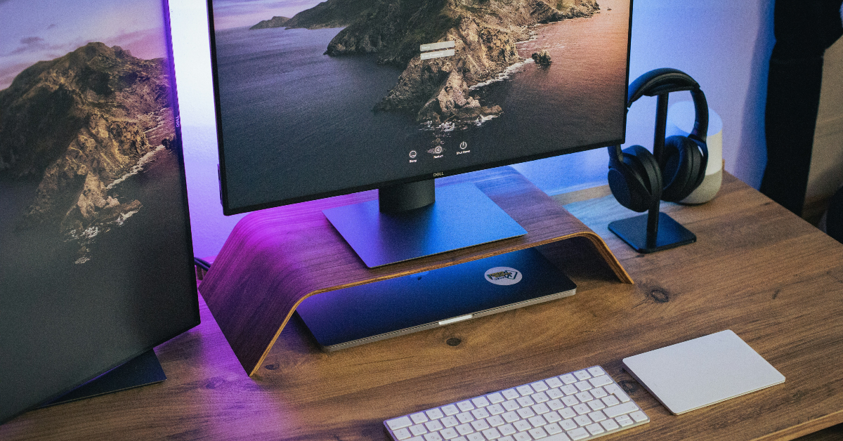 在Windows 11中修复“搜索栏不起作用”的5种方法